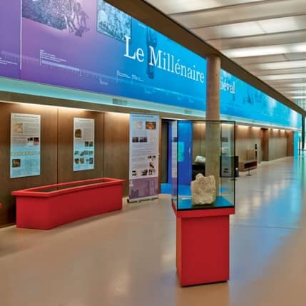HISTOIRE DE LA VENDEE DE LA PREHISTOIRE A NOS JOURS