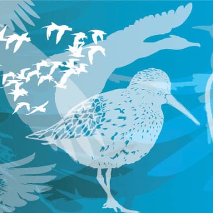 MIGRATEURS A PLUMES, A POILS, A ECAILLES…